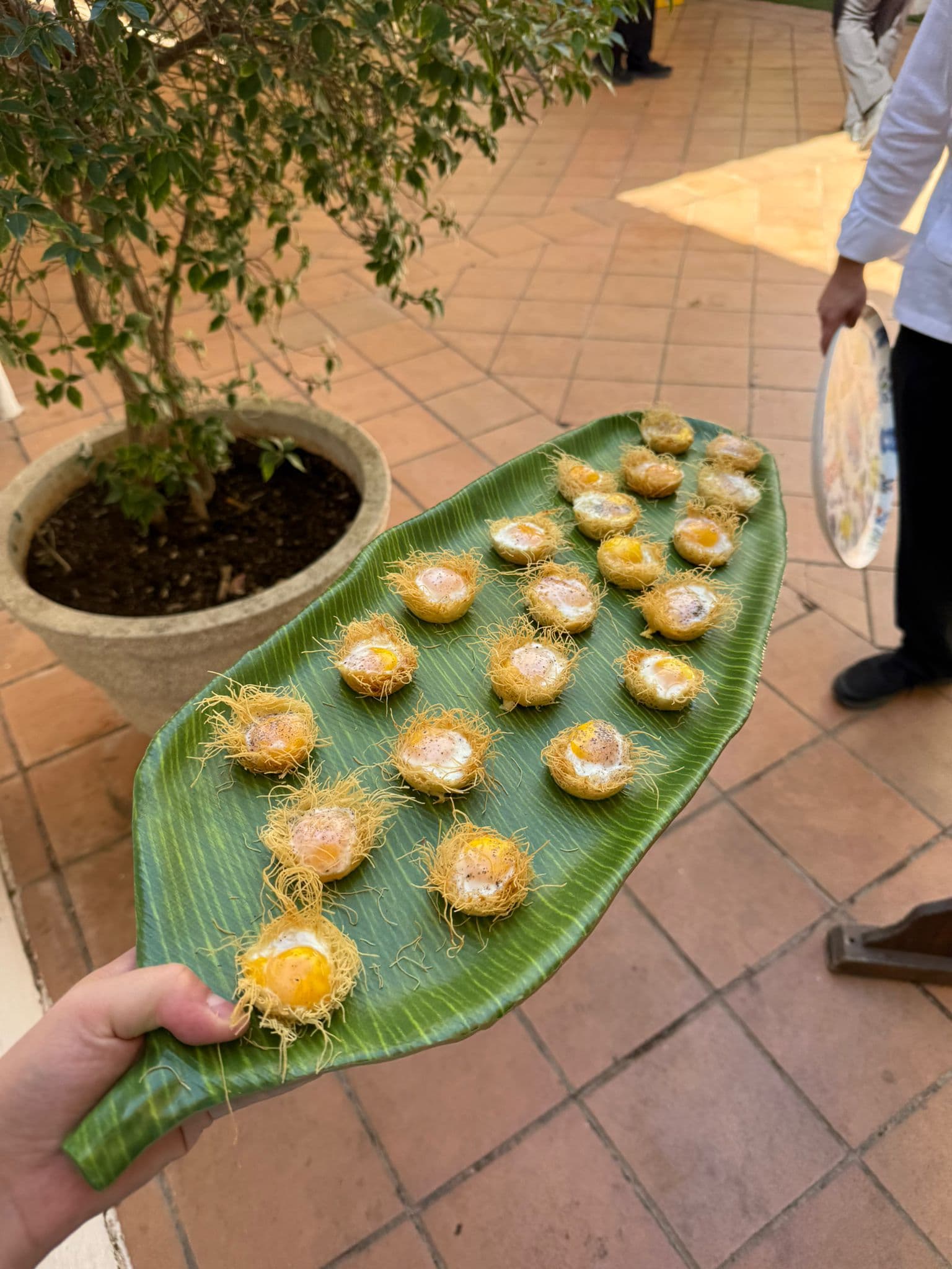 Camarero sirviendo canapés presentados sobre una hoja de plátano durante el aperitivo en el jardín