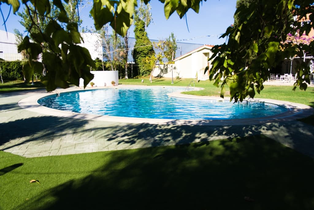 Piscina exterior de forma libre rodeada de césped, con arbolado dando sombra